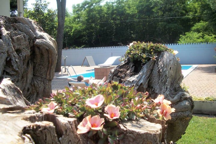 B&B SouthItaly photo 5