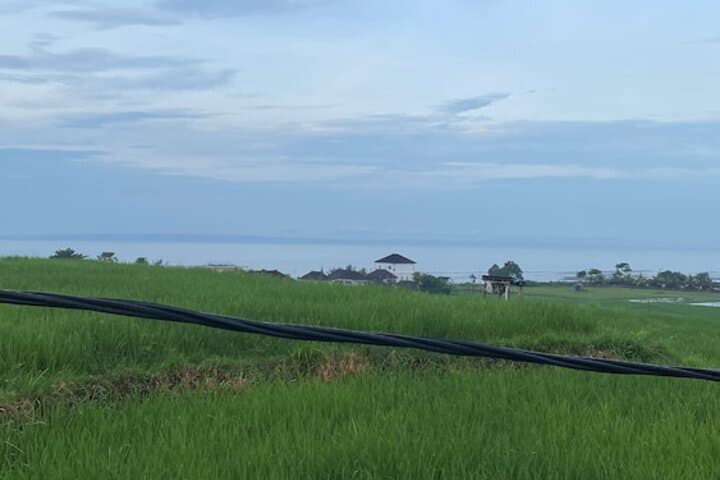 Dikaloha Medewi Surfcamp photo 3