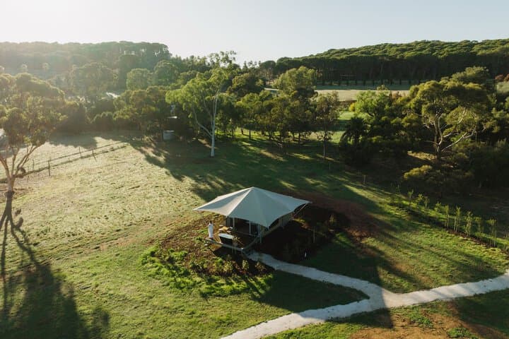 CANVS by CABN Seppeltsfield Barossa photo 4