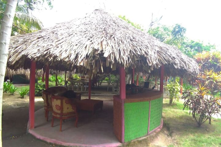 Las Palmeras photo 1