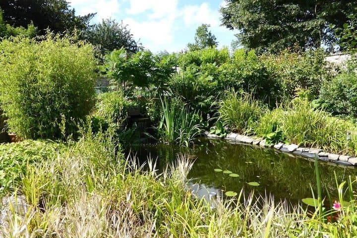 Liongate House photo 5