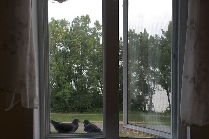 Cozy water front Montreal photo 5