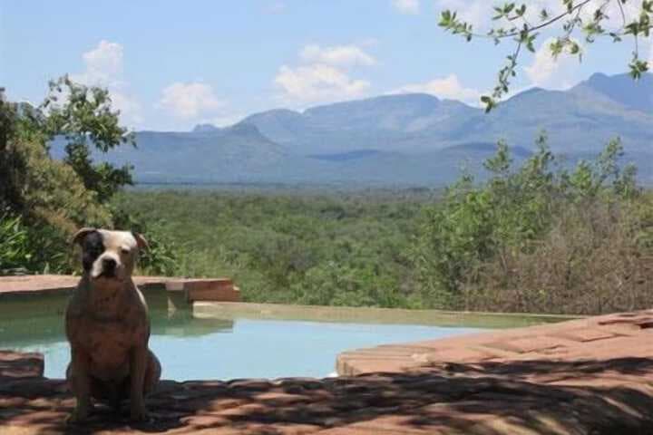 Marula Cottage photo 5