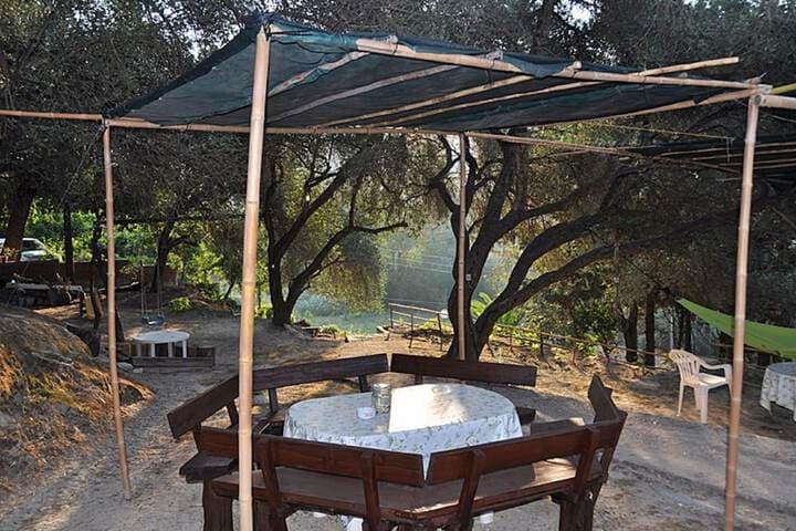Villa Anneta photo 2