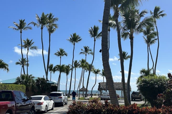 Breezy Palms Resort photo 4