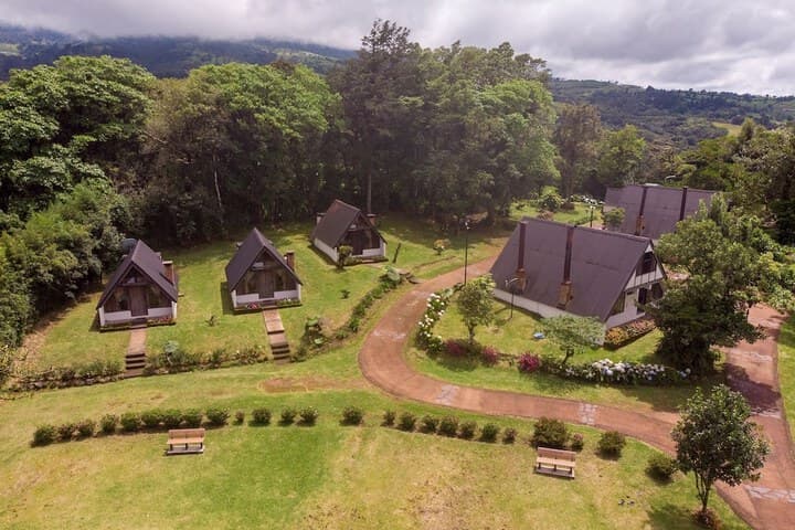 Villa Calas photo 3