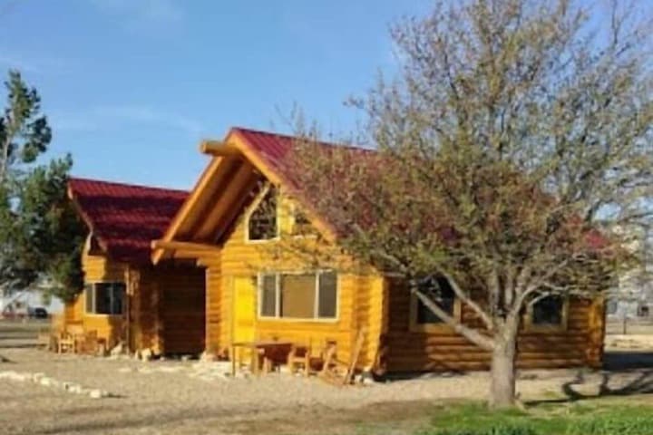 Trail City Bed & Breakfast photo 2