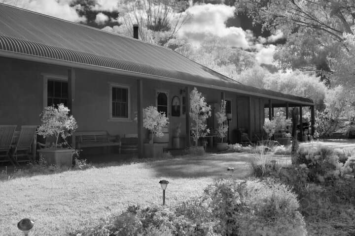 Wildwood Guesthouse photo 3