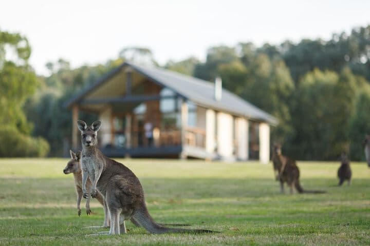 Neil Douglas Natural Features Reserve destination view