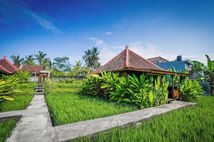 Ubud Sawah Homestay photo 5
