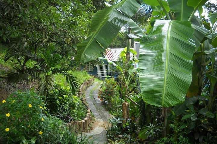 Adventure Eco Villas photo 2