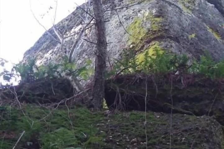 Pension Linstant photo 5