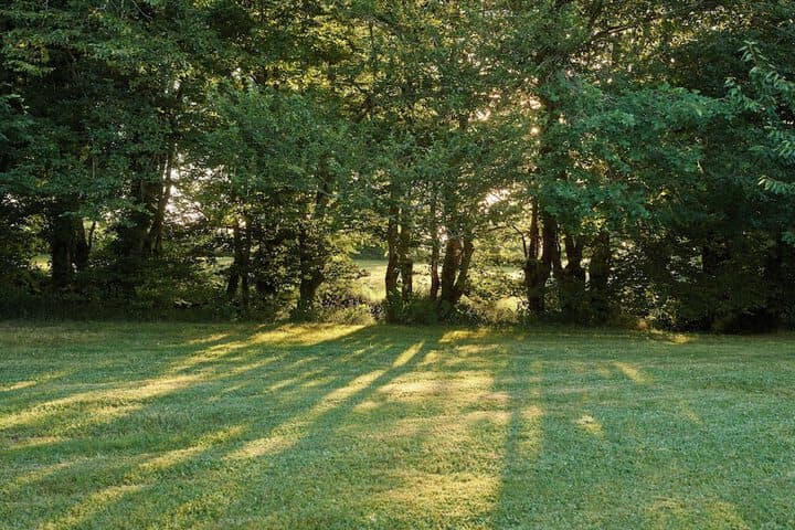 La Sauvageonne photo 2