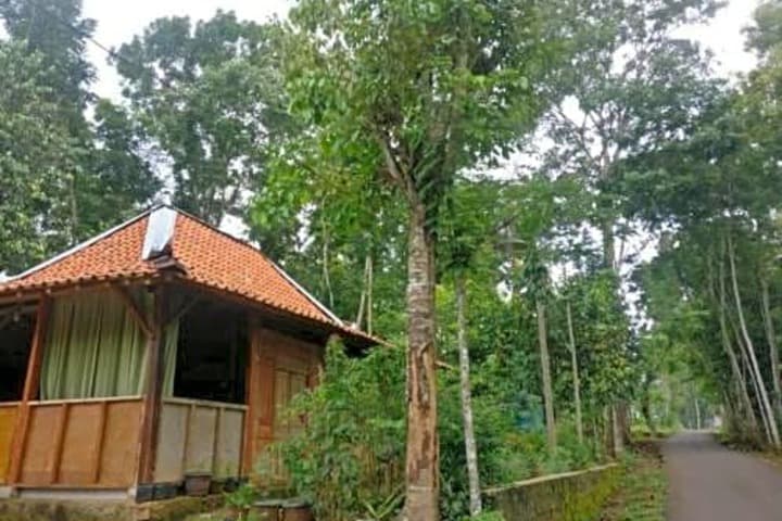 Homestay An Nur photo 3
