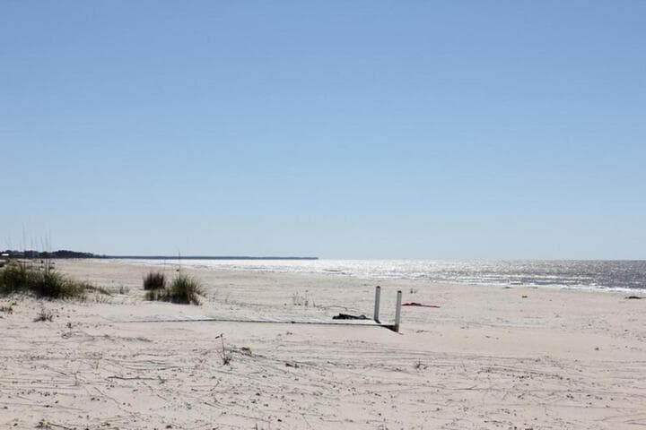 Turtle Watch photo 1