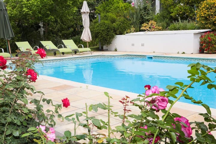 Alba House Bed & Breakfast photo 4