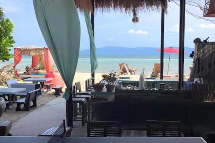 Dancing Elephant Beach Club Hostel photo 4