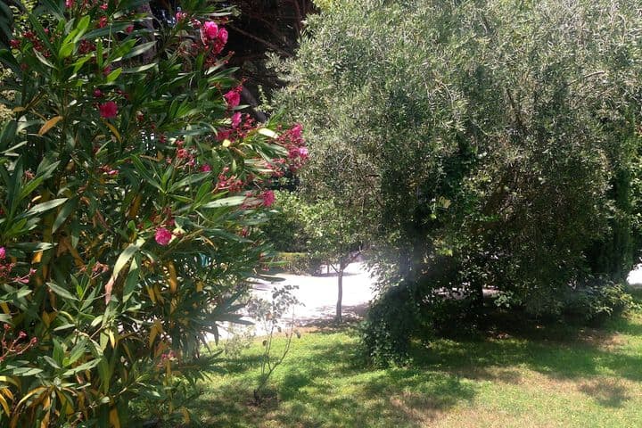 Villa Abbamer photo 2