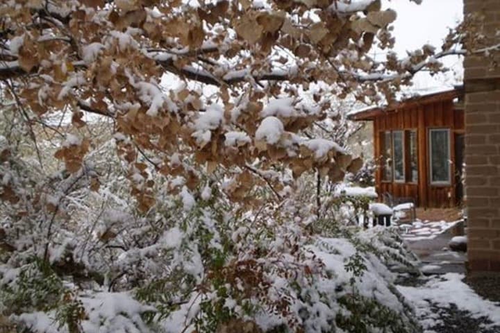 Silver River Adobe Inn photo 2