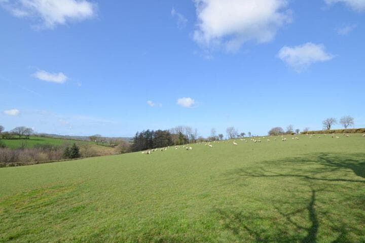 Bluebell Cottage photo 3