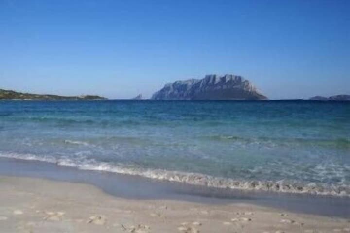 Vaccileddi destination view