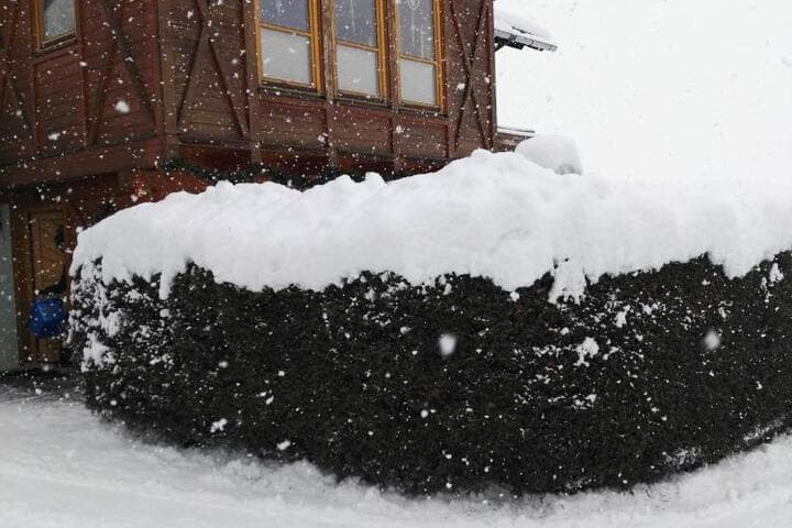 Gästehaus Moser photo 2