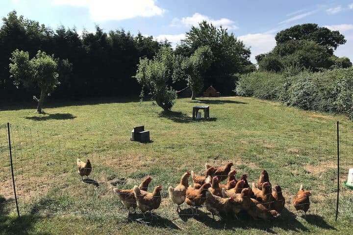 Colton Haggs Farm B&B photo 3