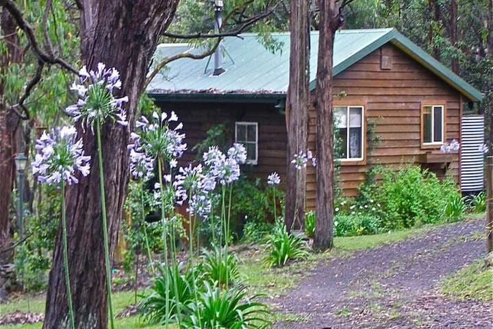 The Rustic Spirit photo 3