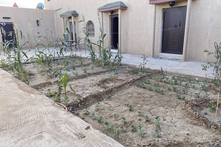 Sunny place apartments photo 1