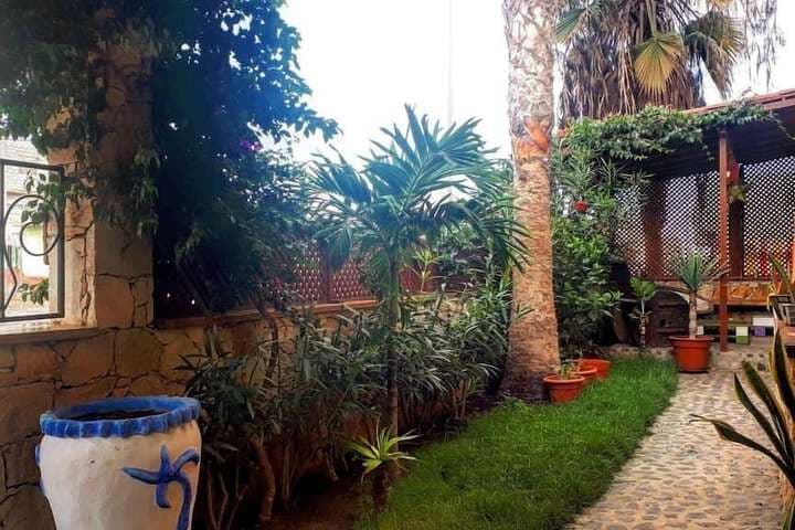 Sakaroule Bed & Breakfast photo 2