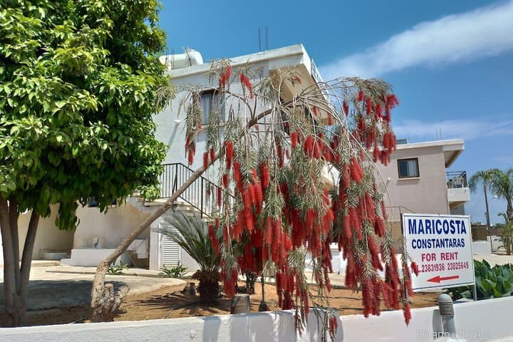 Maricosta Hotel Apartments photo 5