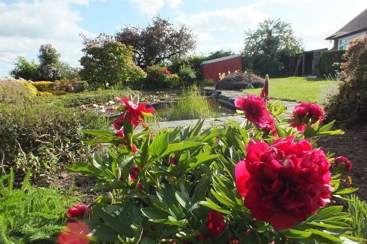 Mortimer Trail B & B photo 3