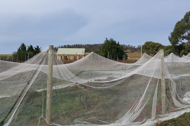 Charles Reuben Estate photo 4