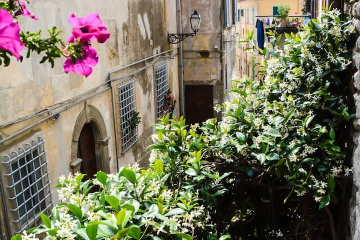Atlantis Inn Castelgandolfo photo 3