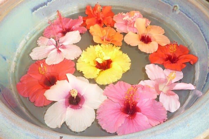 Hibis Resort photo 4