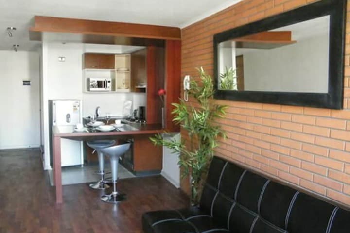 Santiago Suite Apartment photo 5