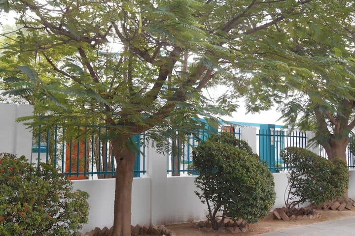 Obesa Lodge photo 5