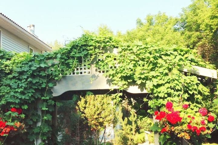 McDougall Lane Bed & Breakfast photo 2