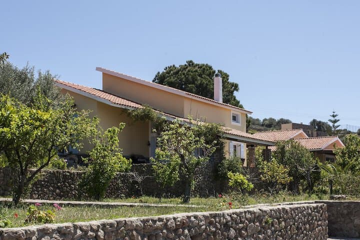 Aelia & Melitta Villas photo 4