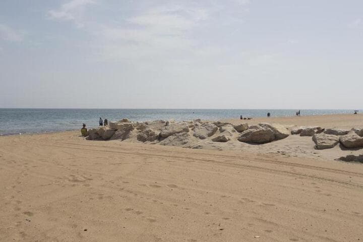 Don Pedro photo 1
