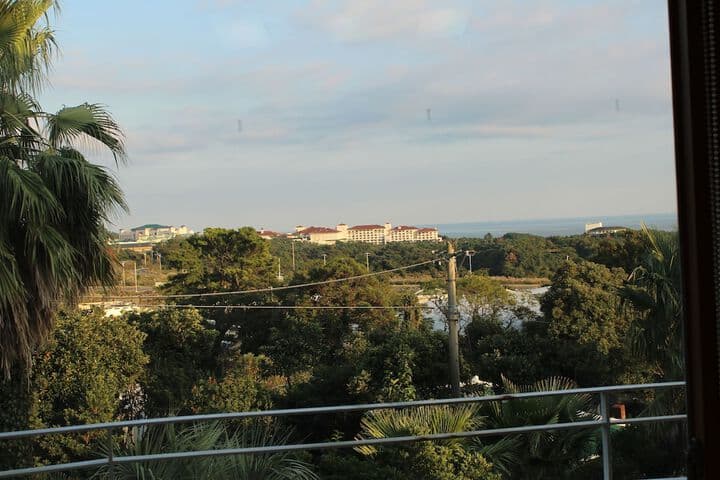 Palm Hill Pension photo 5