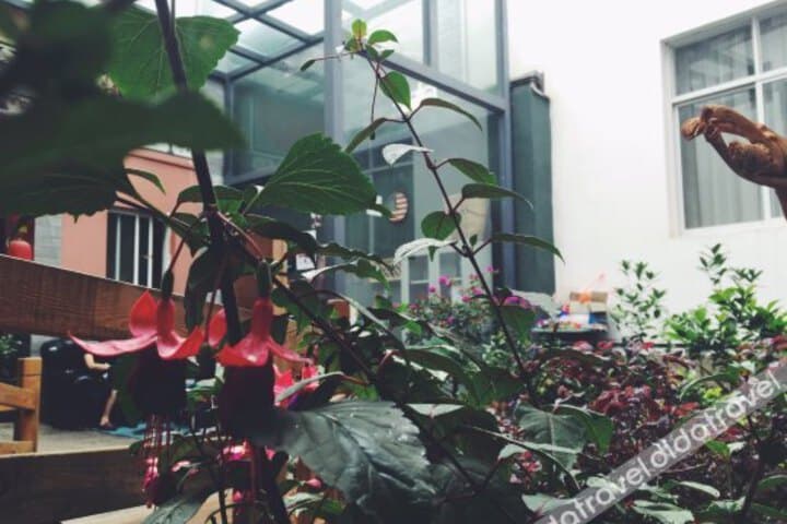 V Hostel photo 1