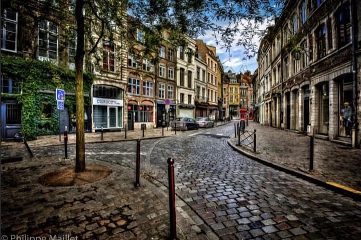 Loger à La Madeleine photo 4