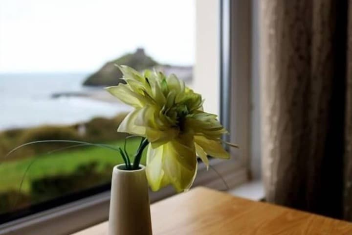 Plas Isa Hotel photo 4