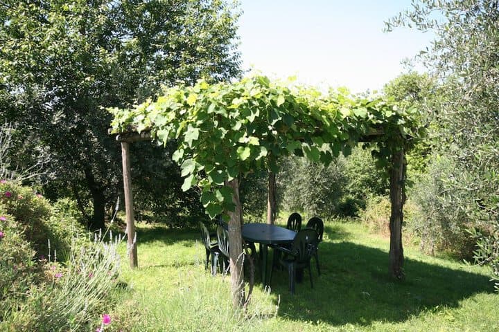 Podere il Pino photo 4