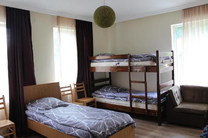 HQ of Nove Sujashvili photo 4
