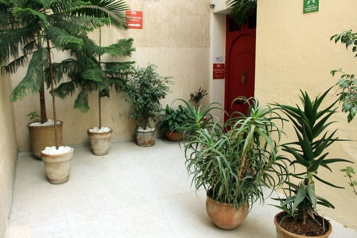 Riad Meftaha photo 4