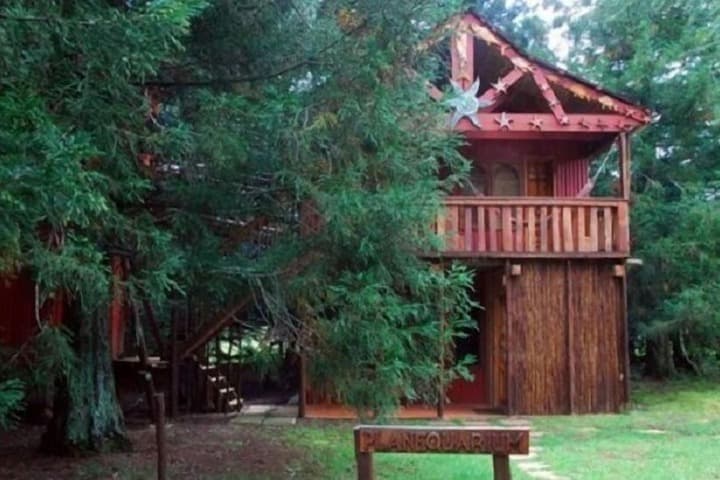 Sycamore Avenue Treehouses photo 3