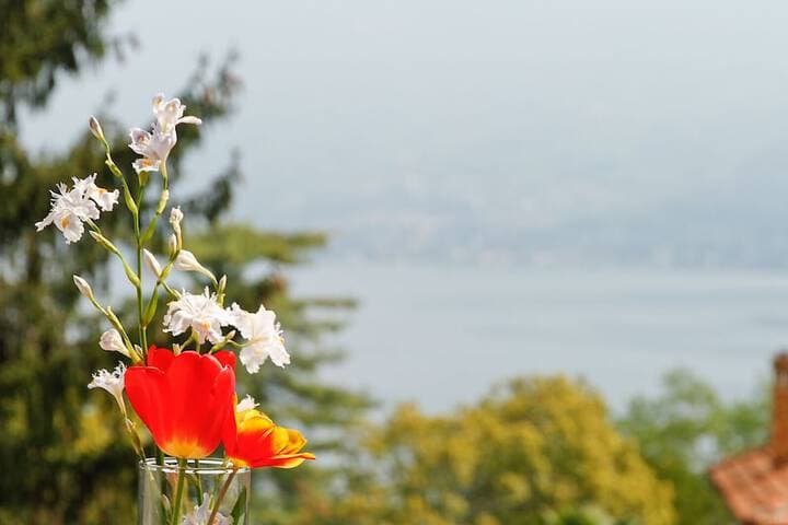 Lake Como Peace Lodge Hostel photo 2