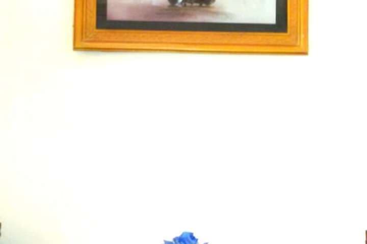 Mami in Homestay photo 4